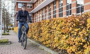 step en fiets